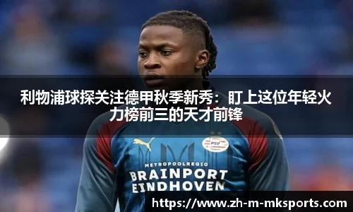 mk体育