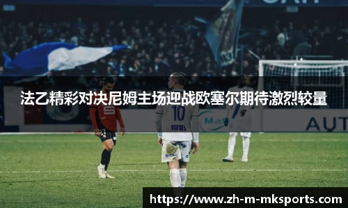 mk体育