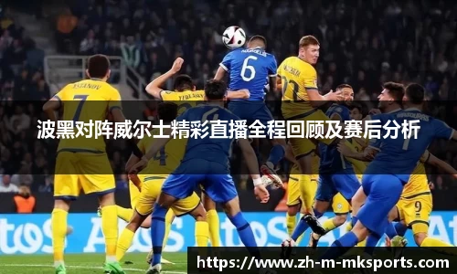 波黑对阵威尔士精彩直播全程回顾及赛后分析