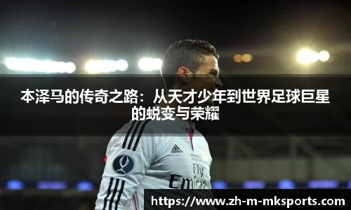 mk体育