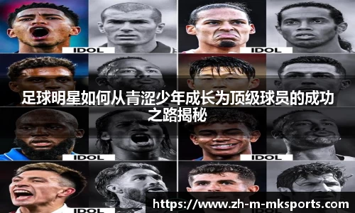 mk体育APP