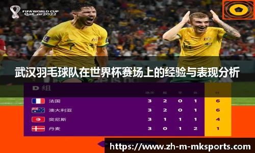 武汉羽毛球队在世界杯赛场上的经验与表现分析